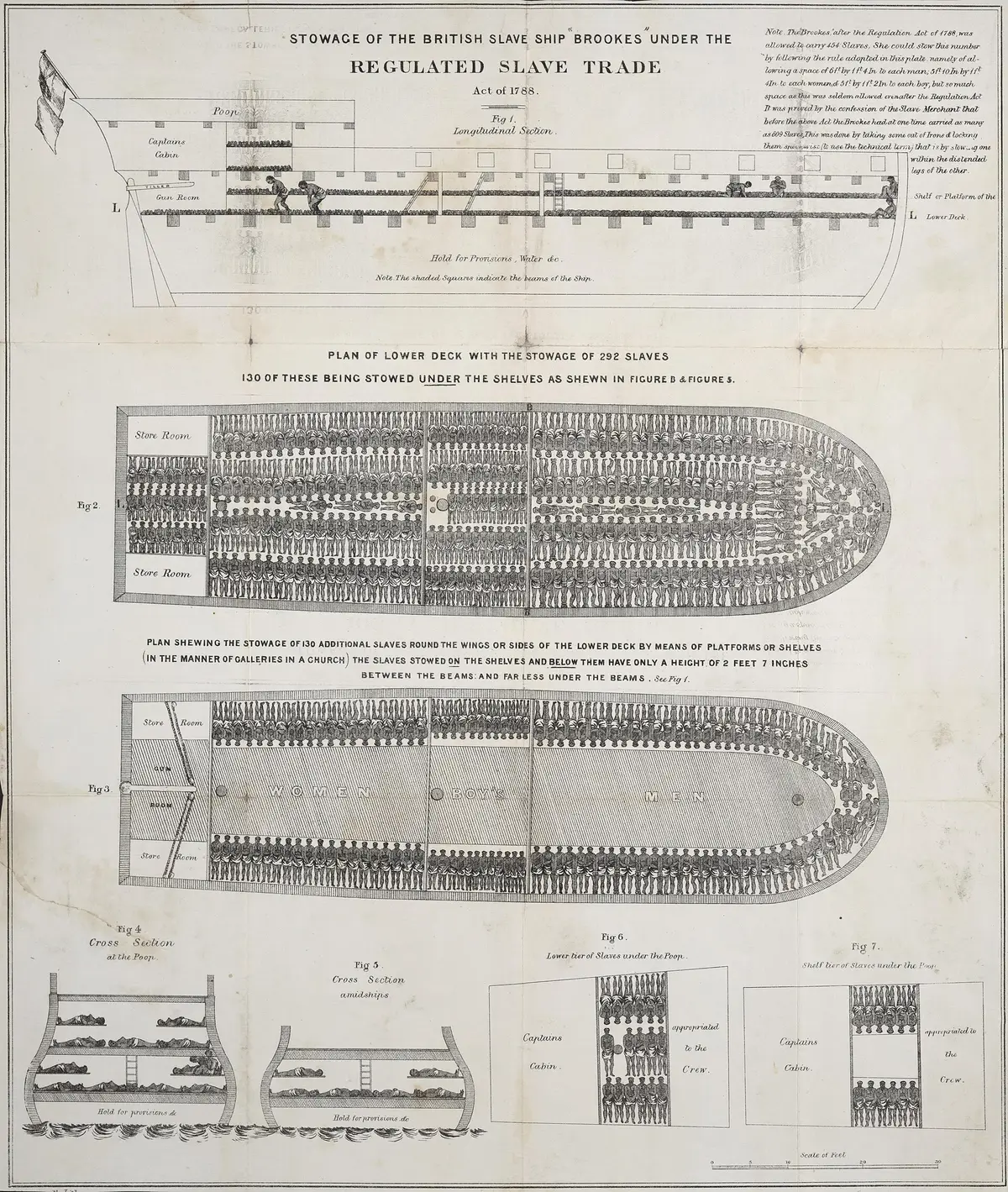 Схема размещения невольников на английском корабле «Брукс» (1788) — этот лист аболиционисты распространяли как доказательство условий перевозки рабов