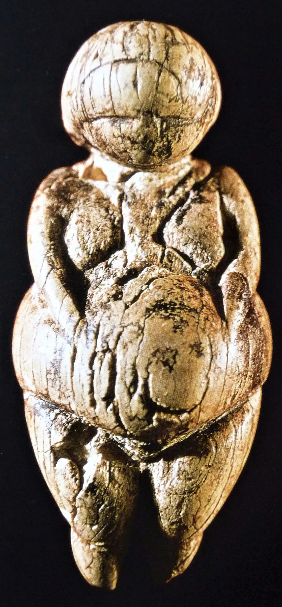 «Венера» из Костёнок (Воронежская область), вырезанная из бивня мамонта, — древнейшая скульптура на территории России